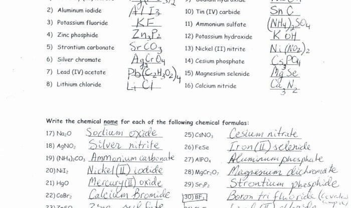 Monatomic ions nomenclature worksheet 1