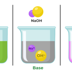 Acids and bases crossword puzzle answers