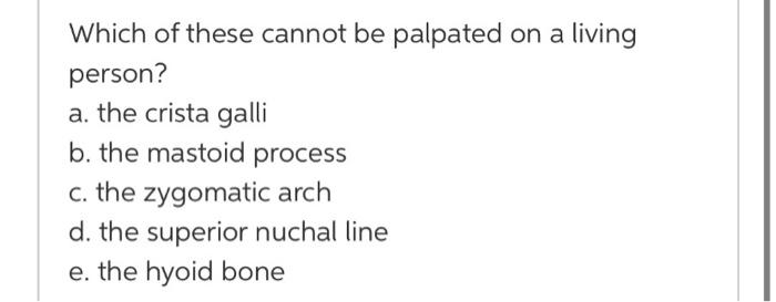 Mastoid inferior foramen anatomy highlighting jugular canal cram flashcards function hypoglossal pain