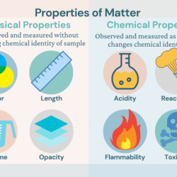 Worksheet chemical physical change