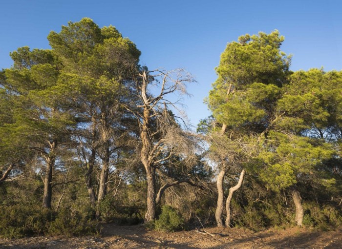 What two biomes are closest to where you live