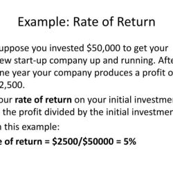 Rate of return chapter 3 lesson 6 answer key