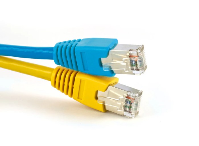 Which of the following depicts an ethernet cable